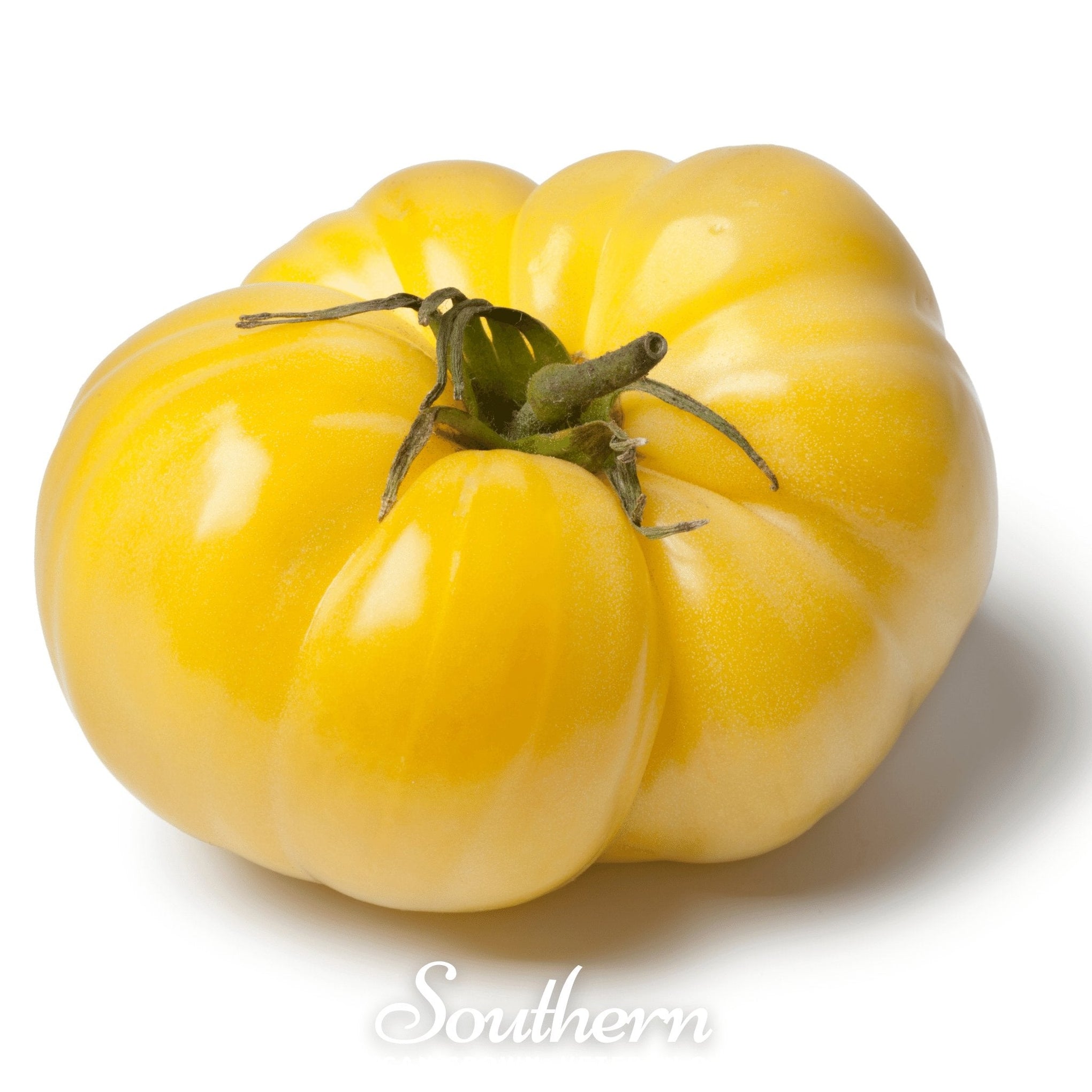 Yellow Brandywine Tomato – 50 Seeds